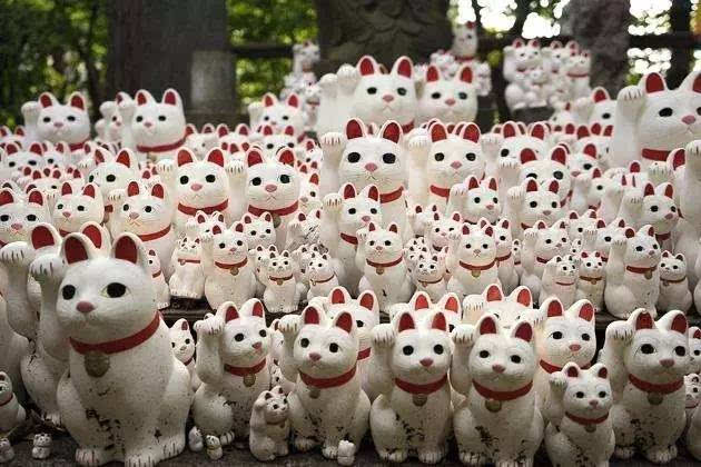 招财猫最新动态及观点论述揭秘