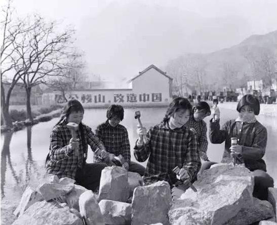 最新农村电视剧大全，多维度影像展现乡村生活
