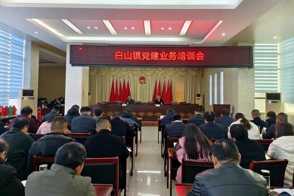 庐江县白山镇最新新闻及获取指南