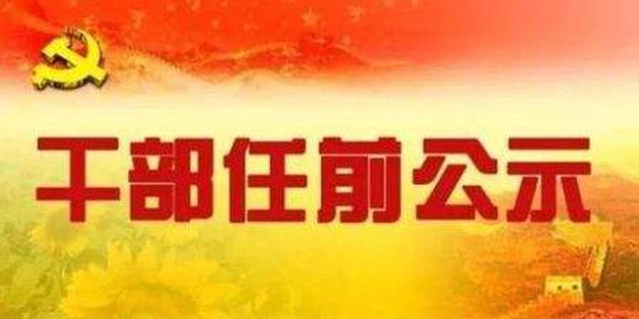 巴中市最新任职公告，启程探索自然，寻找内心宁静之旅