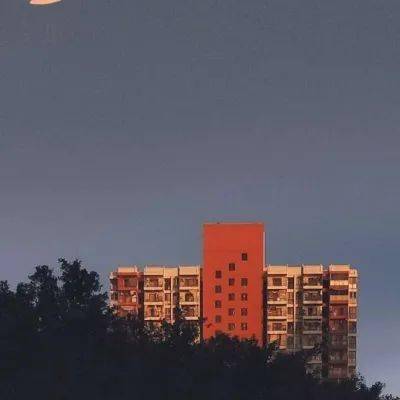 澳门天天开彩大全免费,动态解读分析_强劲版51.681