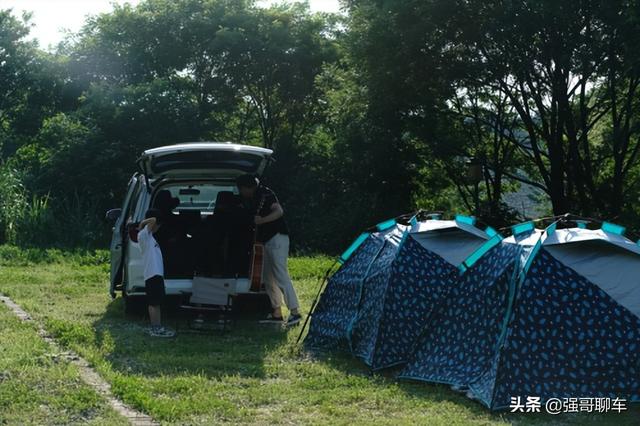 最新野战，友情冒险与家的温馨日常之旅