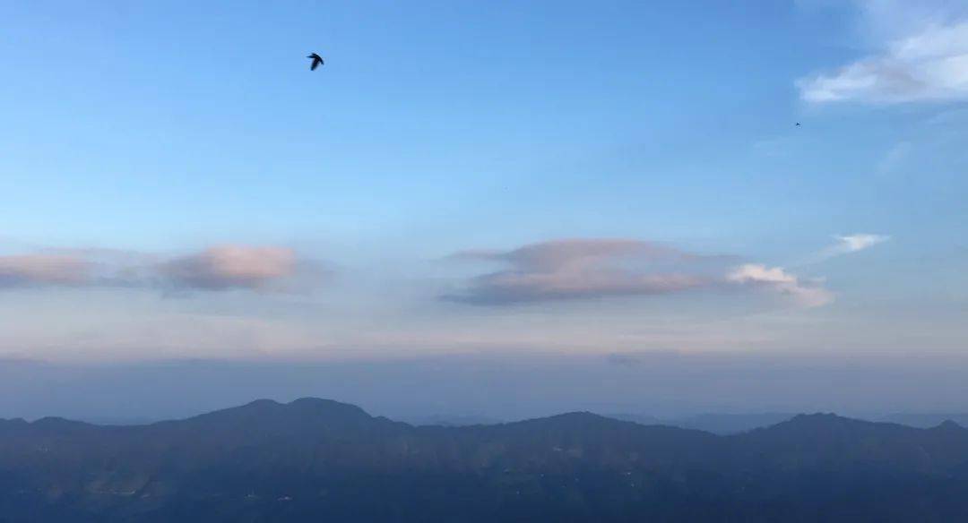中美新闻最新动态，自然美景之旅寻求内心宁静与平和