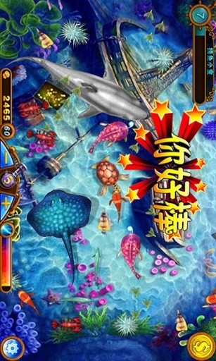 最新捕鱼平台揭秘，小巷中的神秘乐园探秘