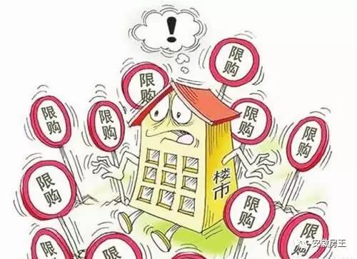 杭州最新限购政策下的生活温馨故事