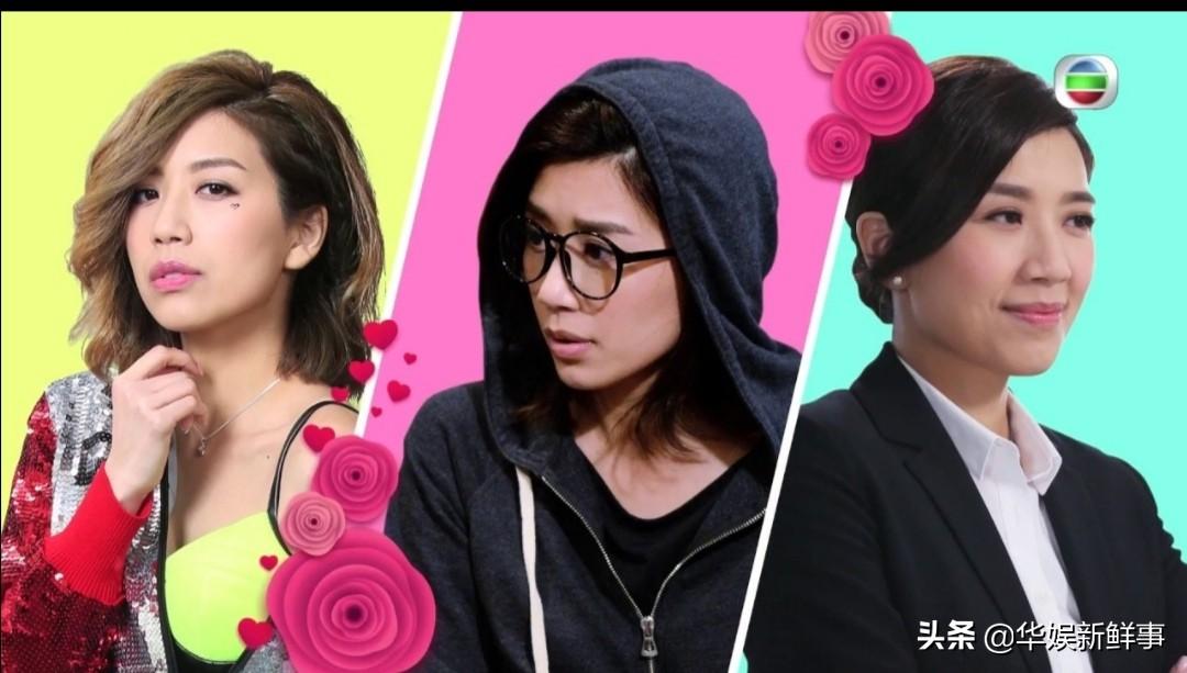 香港最新TVB电视剧，深度探析与观点阐述