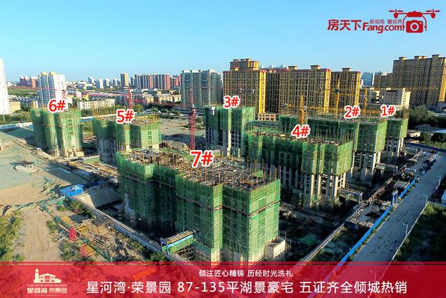 书法艺术中心 第54页