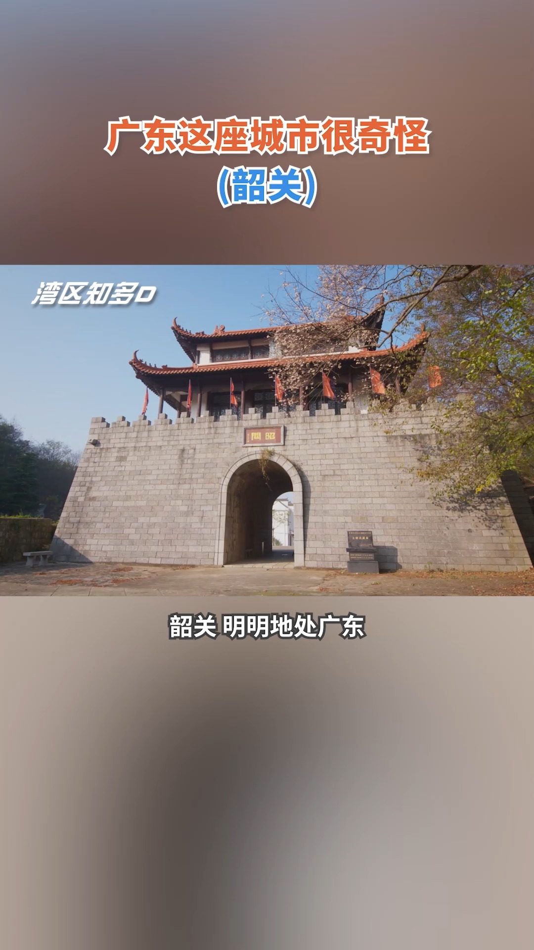 小巷深处的独特风味，都市烟火中的特色小店时评文报道