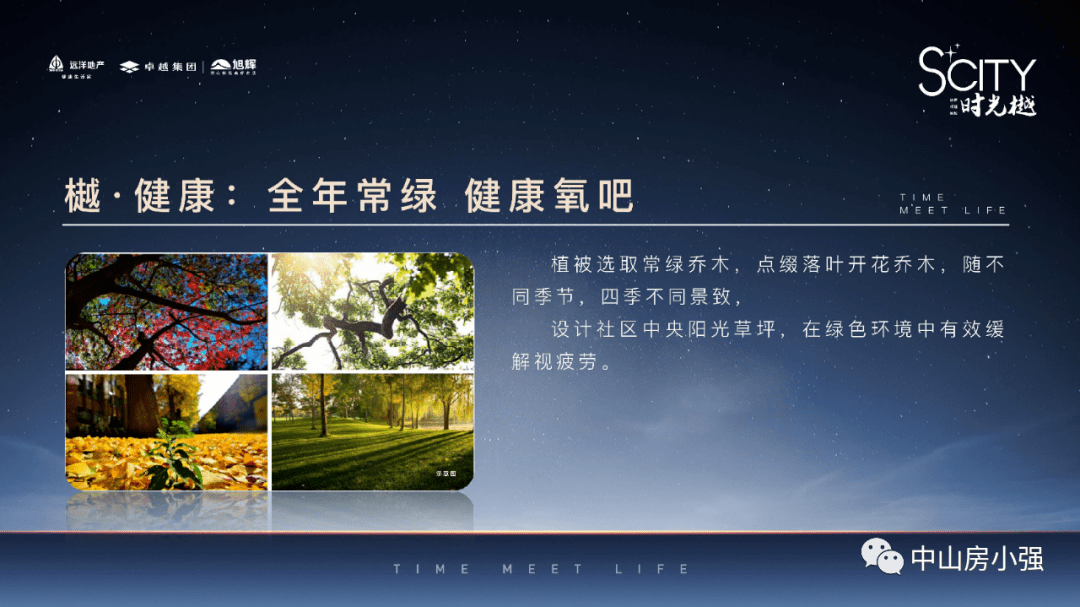 小次郎最新，小巷中的美食秘密