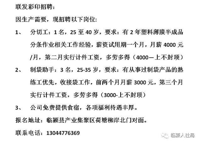 成武最新招聘信息全面概览