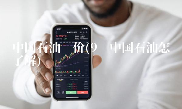 中国石油最新价格，探寻内心平静的石油之旅