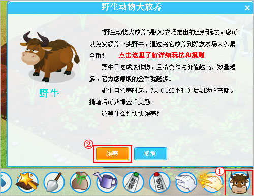 最新野战深度解析与探讨