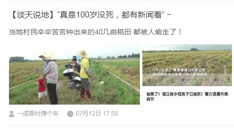 廉江最新新闻，自然之旅探寻内心平静的奥秘