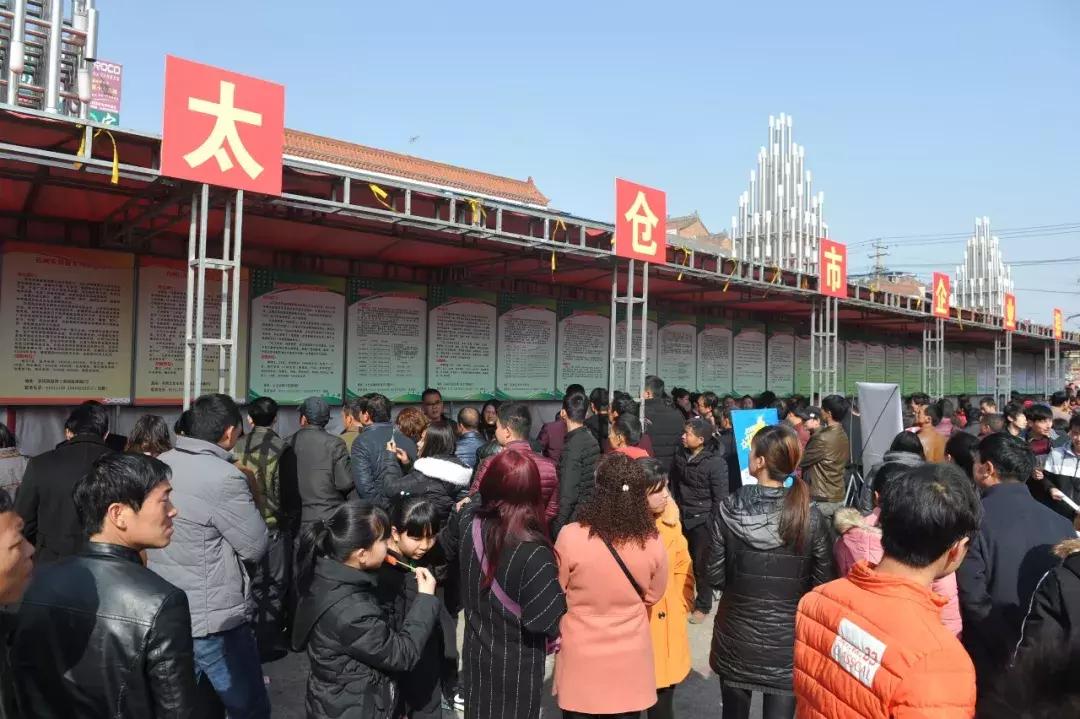 太仓最新招聘信息，家的温馨故事与职业发展的交汇点