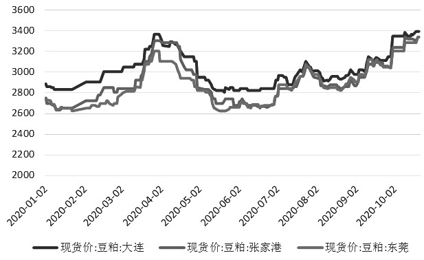 豆粕现货最新价格获取指南，实时更新，轻松掌握市场动态
