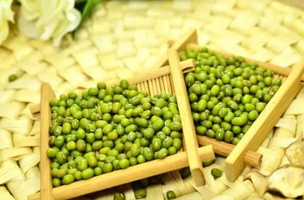 绿豆最新价格行情与小巷美食探秘
