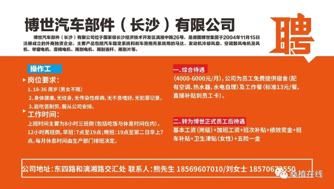 岳池招聘网最新招聘信息及求职步骤指南