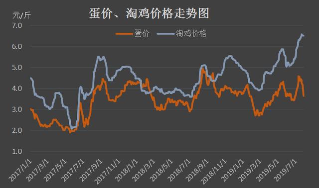 鸡蛋最新价格与市场走势分析，多元观点探讨