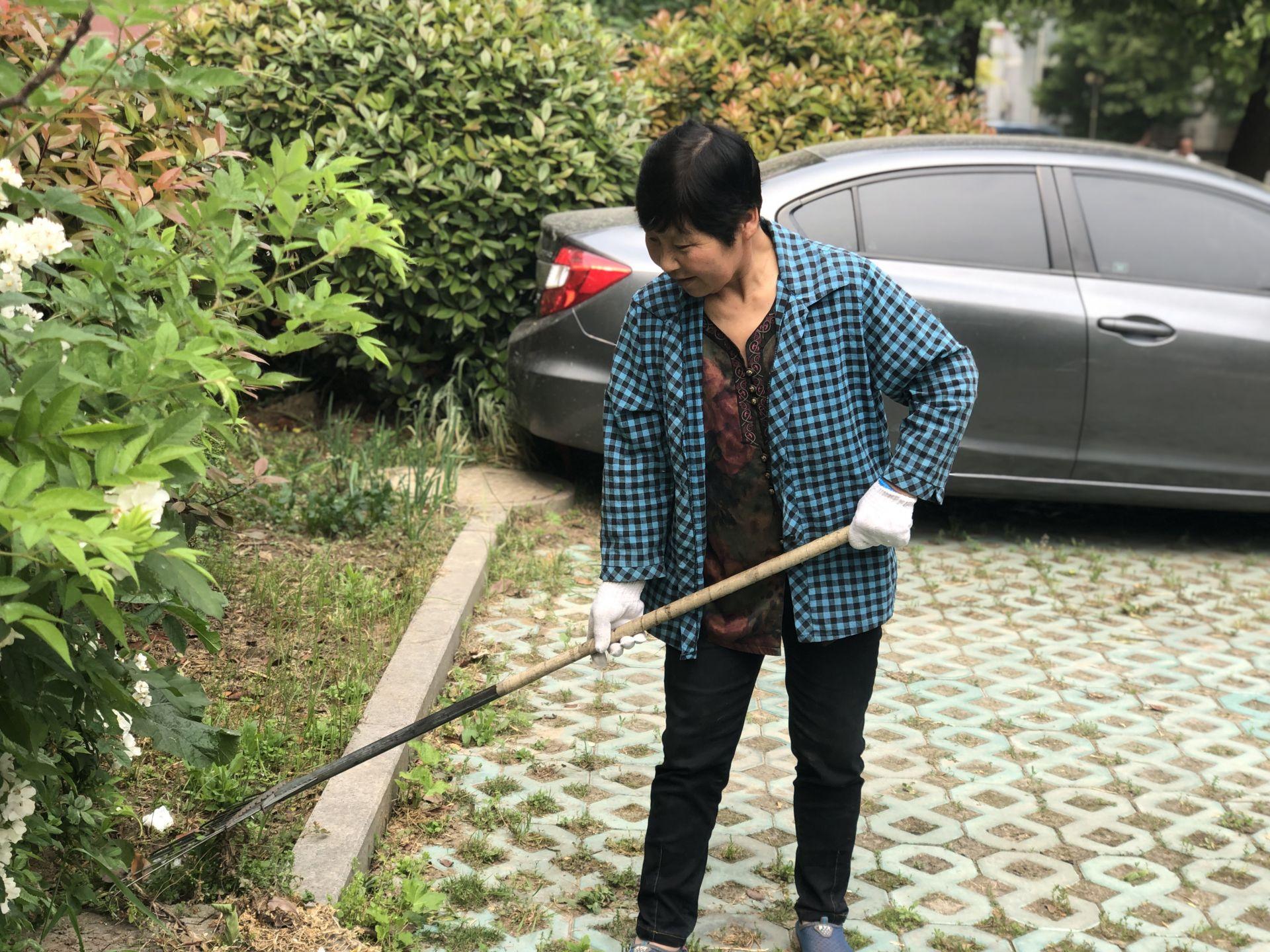 书法艺术中心 第13页