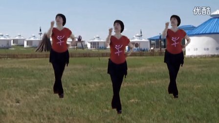 应子最新广场舞的日常趣事与风采展示