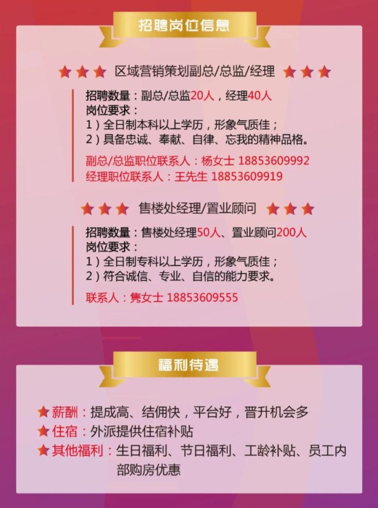 韶关最新招聘信息详解及应聘指南，获取职位与应聘技巧全攻略