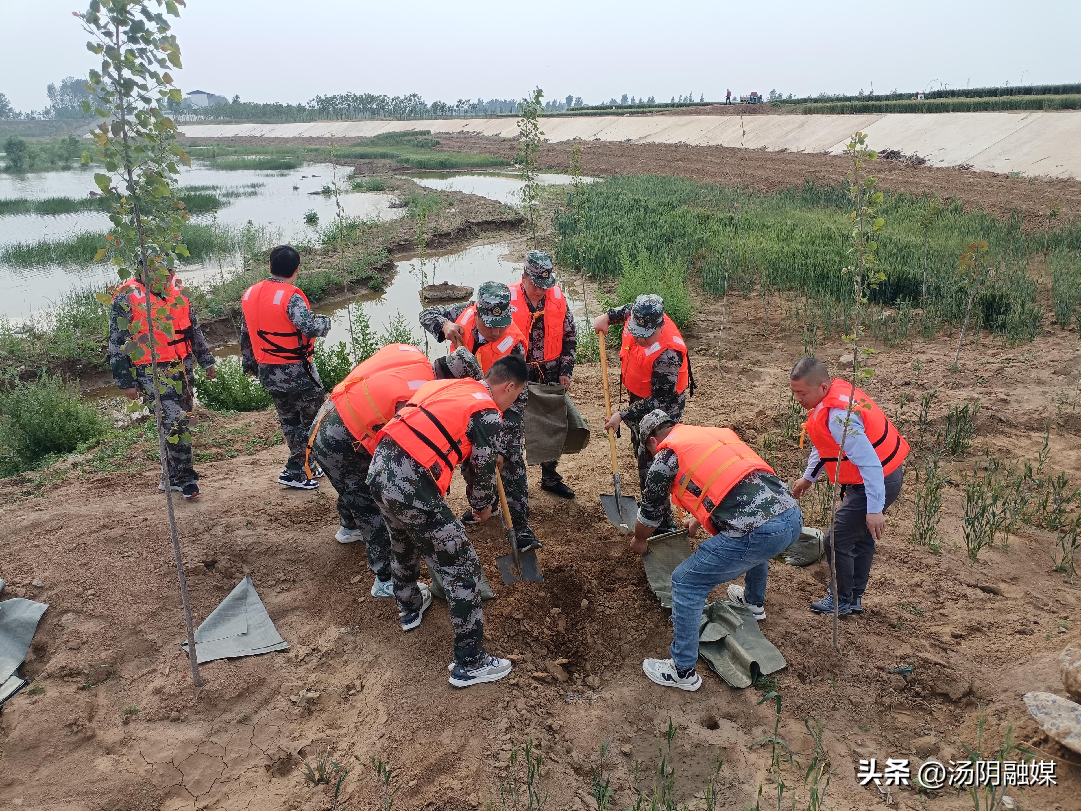 汤阴疫情最新动态，科技助力智能守护生活
