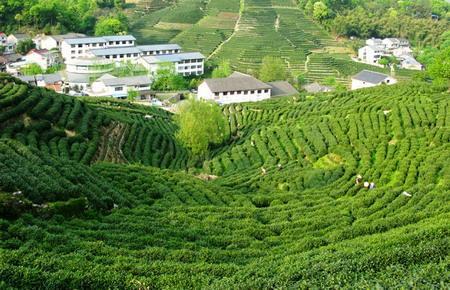 最新高德地图，探索变化，引领未来之旅