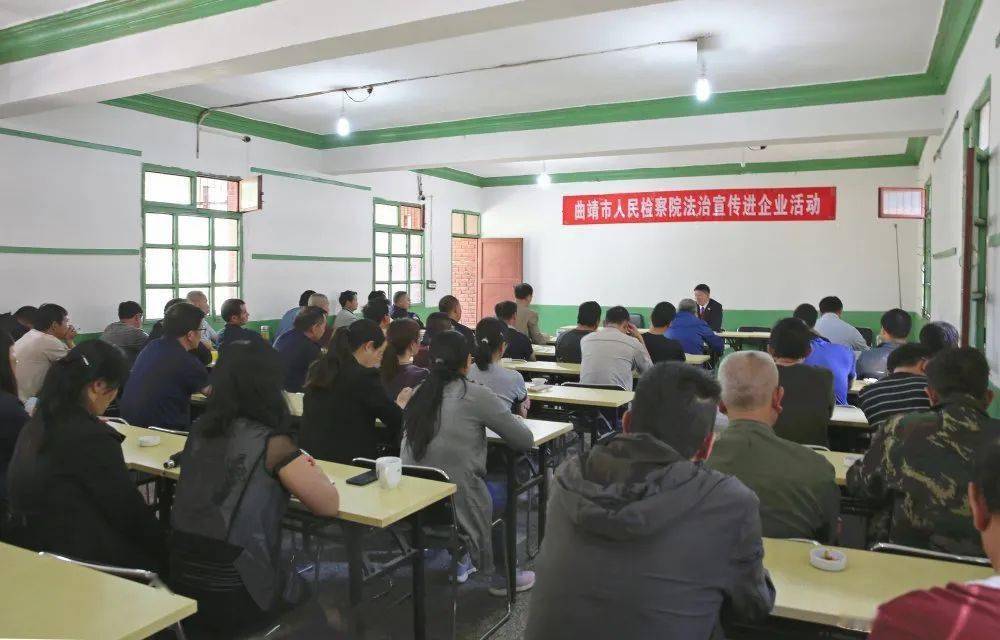 谢楠最新消息揭秘，城市生活的温馨日常