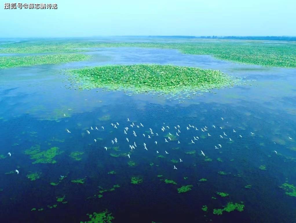 洪湖刘新才，自然美景探索之旅，寻找内心宁静的最新旅程