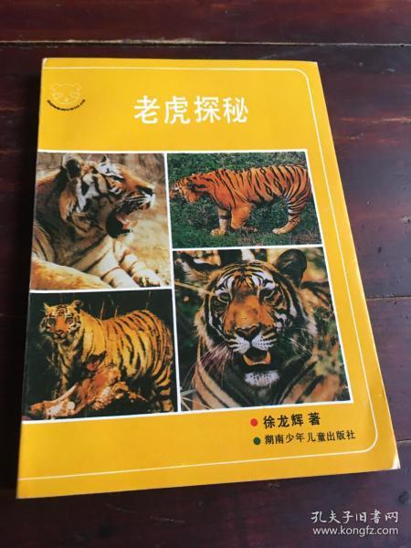 探秘小巷中的独特风味,虎道人最新动态揭秘!