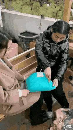 温馨日常 第3页