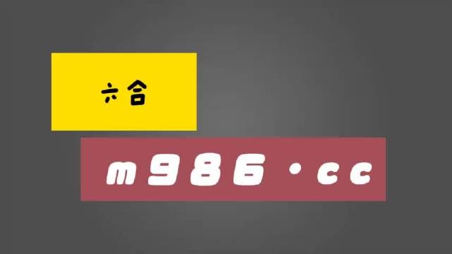 白小姐一肖一码准确一肖,即时解答解析分析_目击版88.894
