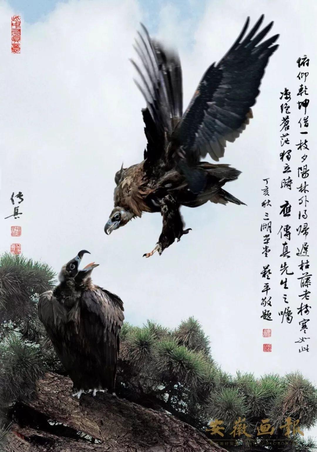 新澳门传真图片,快速解答方案设计_电影版8.890