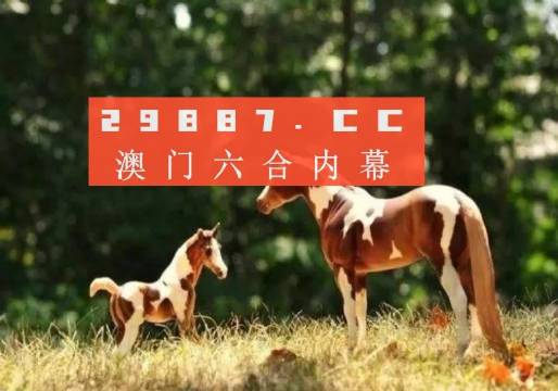 2024香港跑狗图新版,持续改进策略_多元文化版16.672