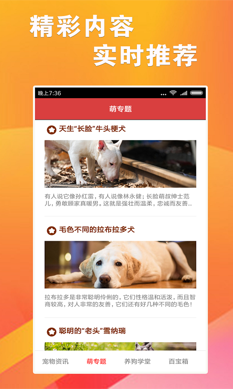 新版跑狗图今天更新正版,灵活性执行方案_轻量版95.464