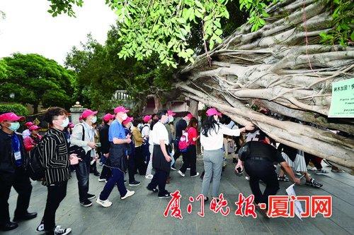 厦门晚报电子版最新版，新闻与科技融合之旅