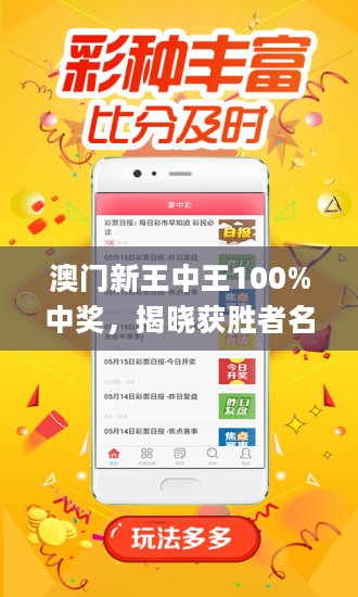澳门王中王100%正确答案最新章节,实地验证策略具体_安全版53.927