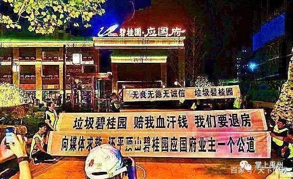 平顶山碧桂园最新房价动态及市场趋势，购房指南与最新市场动态分析