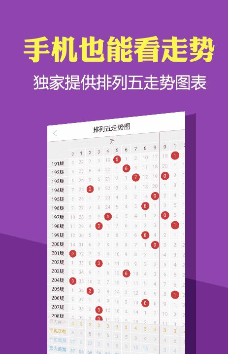 2024新澳正版免费资料大全,专业解读操行解决_轻奢版30.706