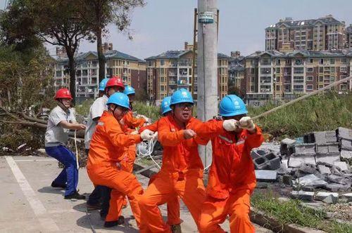 温岭81省道最新进展详解，步骤指南与最新动态更新
