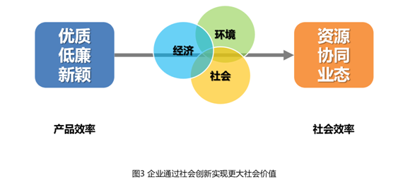 新奥天天精准资料大全,社会承担实践战略_进口版34.834