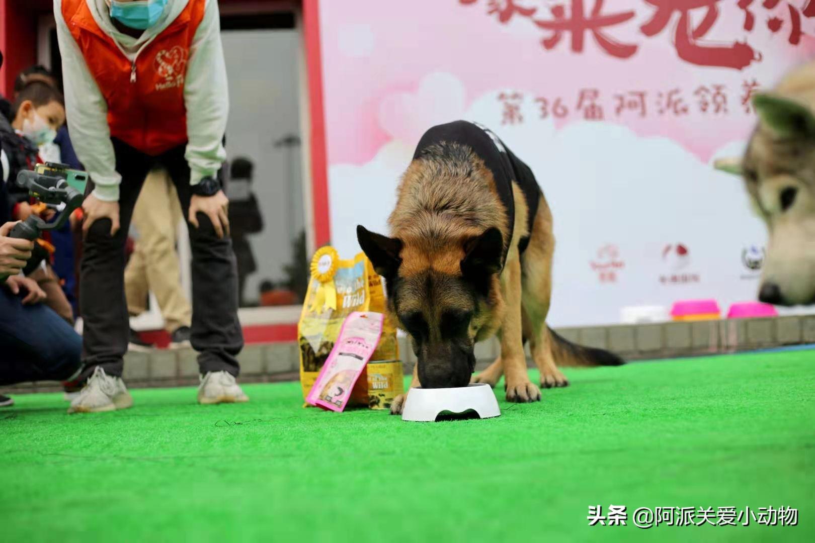 工艺美术品收藏 第354页