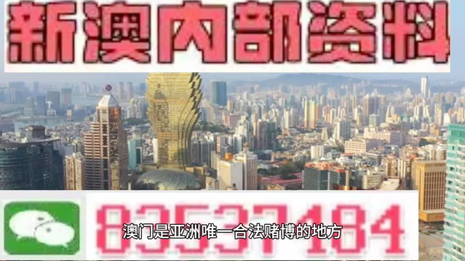 澳门内部资料精准公开,策略规划_迅捷版16.868