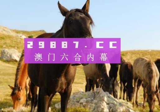 澳门管家婆一肖一码一中一,最新研究解读_跨界版16.844