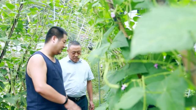 工艺美术品收藏 第244页