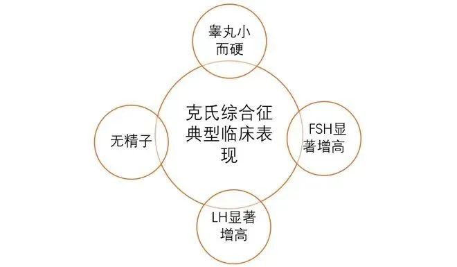 工艺美术品收藏 第190页