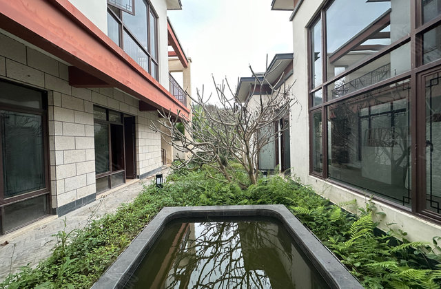 鹤山十里方圆最新房价探秘，小巷风情与诱人房价揭秘