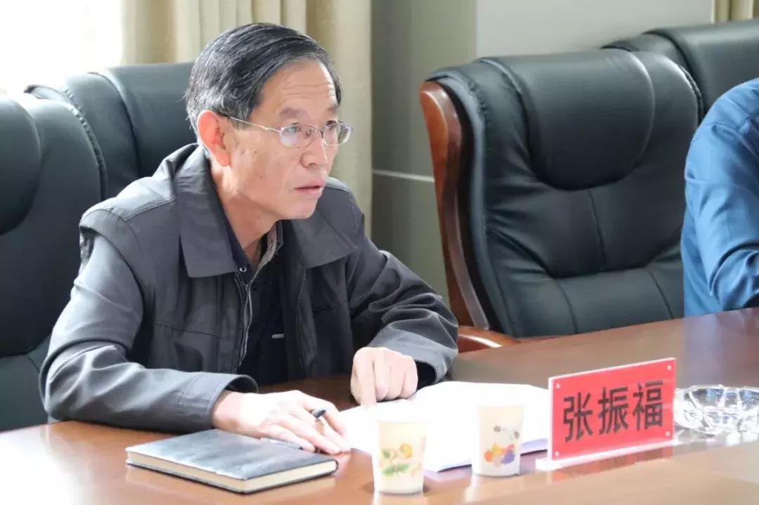 中巡视组最新动态与消息更新