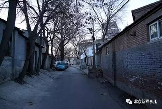 北京雄安新区最新动态,小巷深处的独特风情