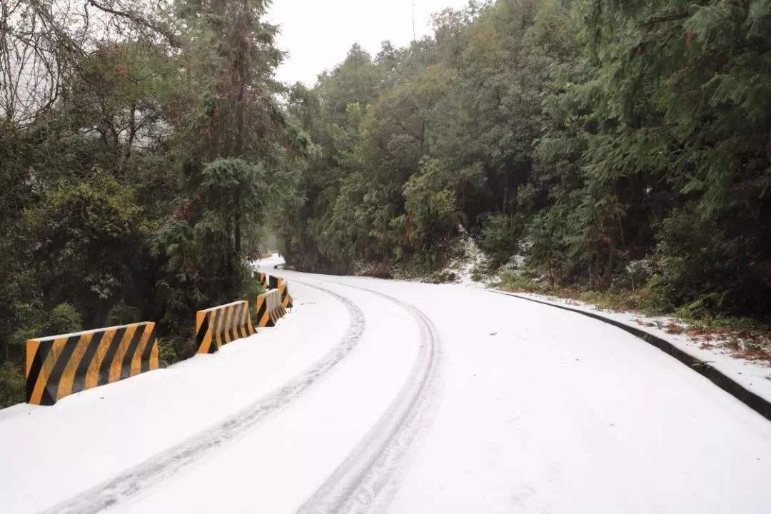 广东省天气最新消息更新🌦️